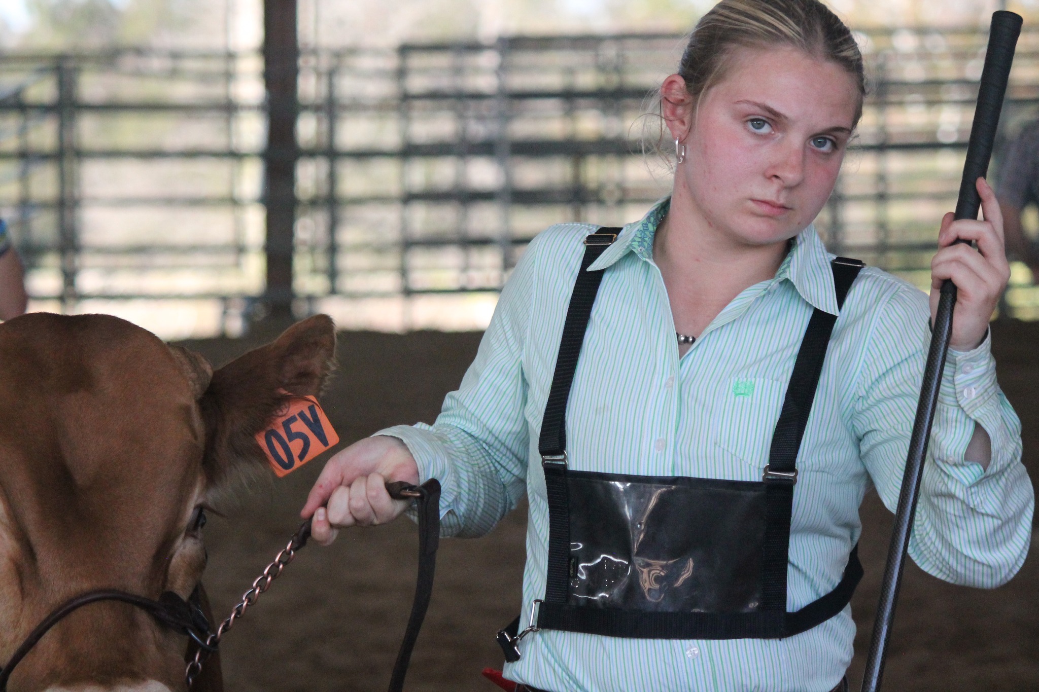 Youth exhibitor with Akaushi